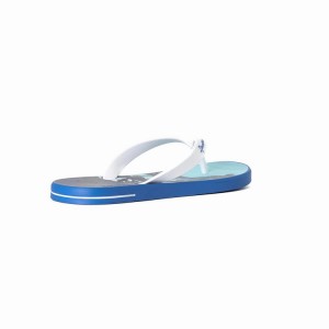 Chancletas Ipanema 10 Palm Hombre Azules Blancas | 17583NOMR