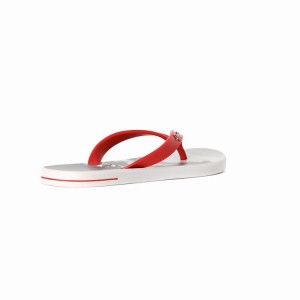 Chancletas Ipanema 10 Palm Hombre Gris Rojas | 04562XITH