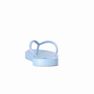 Chancletas Ipanema Ana Metallic IV Niños Azules Plateadas | 18745WKJT