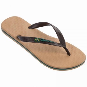 Chancletas Ipanema Classic Brazil II Hombre Beige Marrones | 48729EITQ