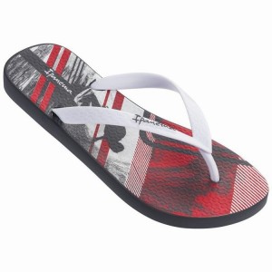 Chancletas Ipanema Parati IV Ad Hombre Gris Blancas | 63974FOKB