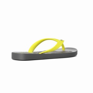 Chancletas Ipanema Tropics Niños Gris Amarillo | 68541FBND